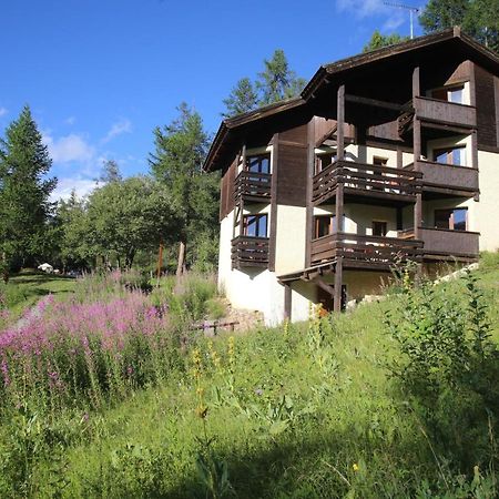 Chalet Les Arolles 莱索尔 外观 照片