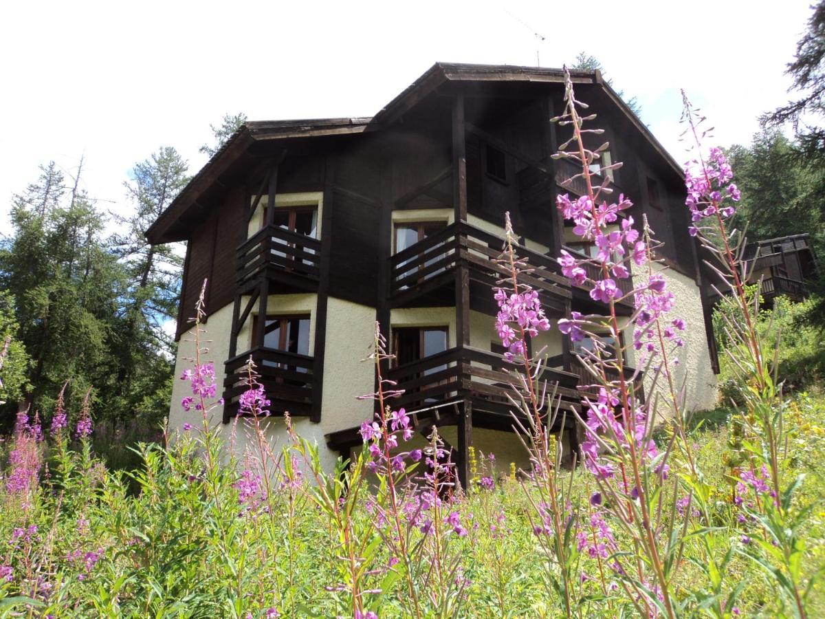Chalet Les Arolles 莱索尔 外观 照片