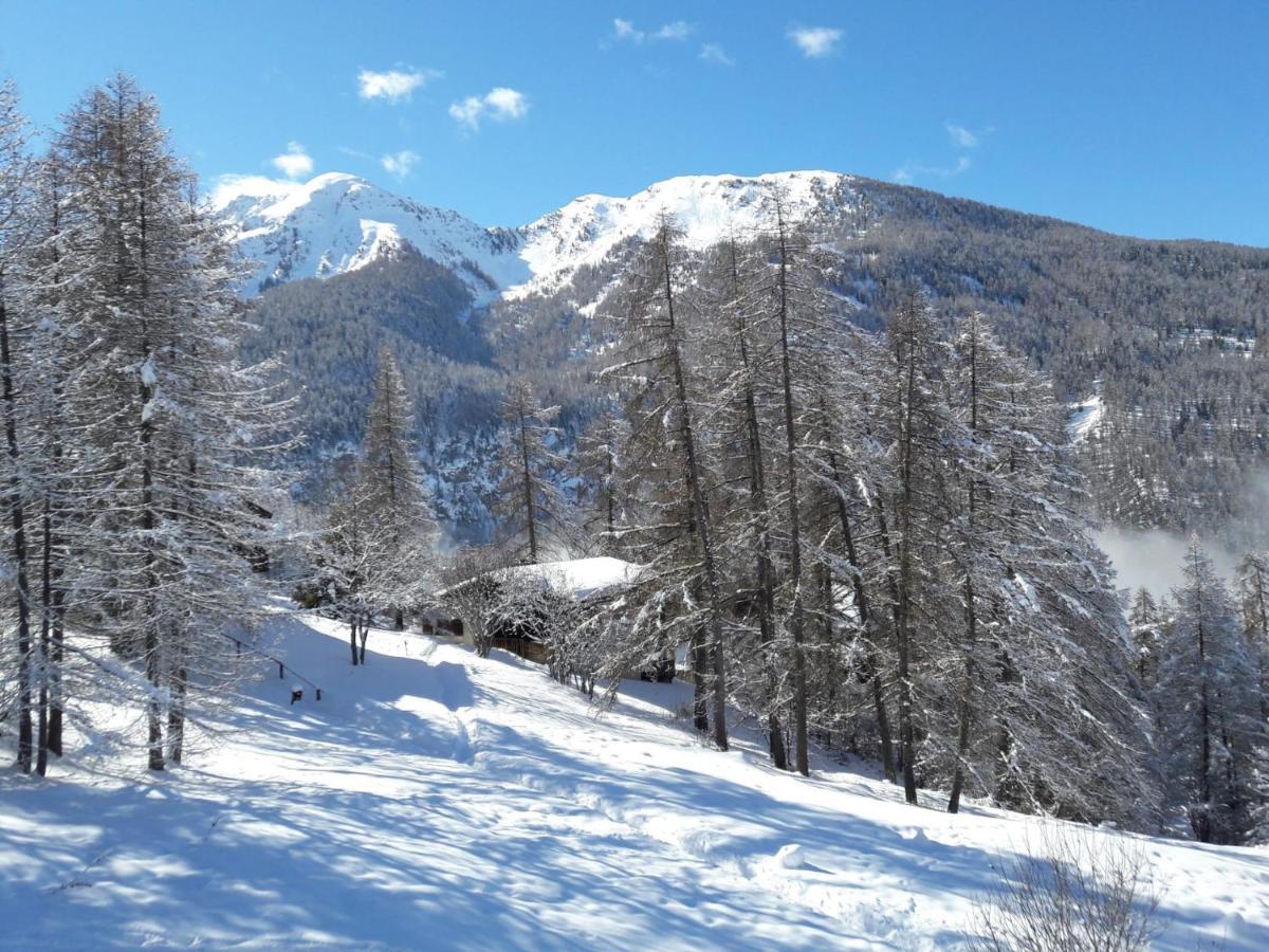 Chalet Les Arolles 莱索尔 外观 照片