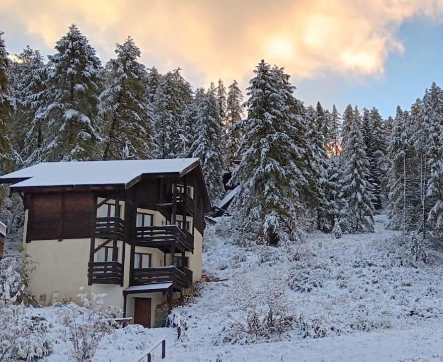 Chalet Les Arolles 莱索尔 外观 照片