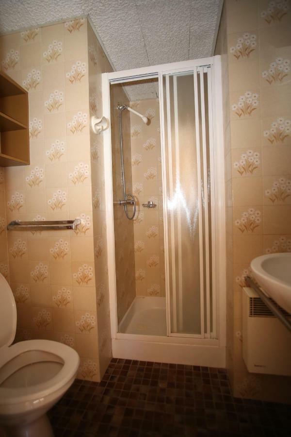 Chalet Les Arolles 莱索尔 外观 照片