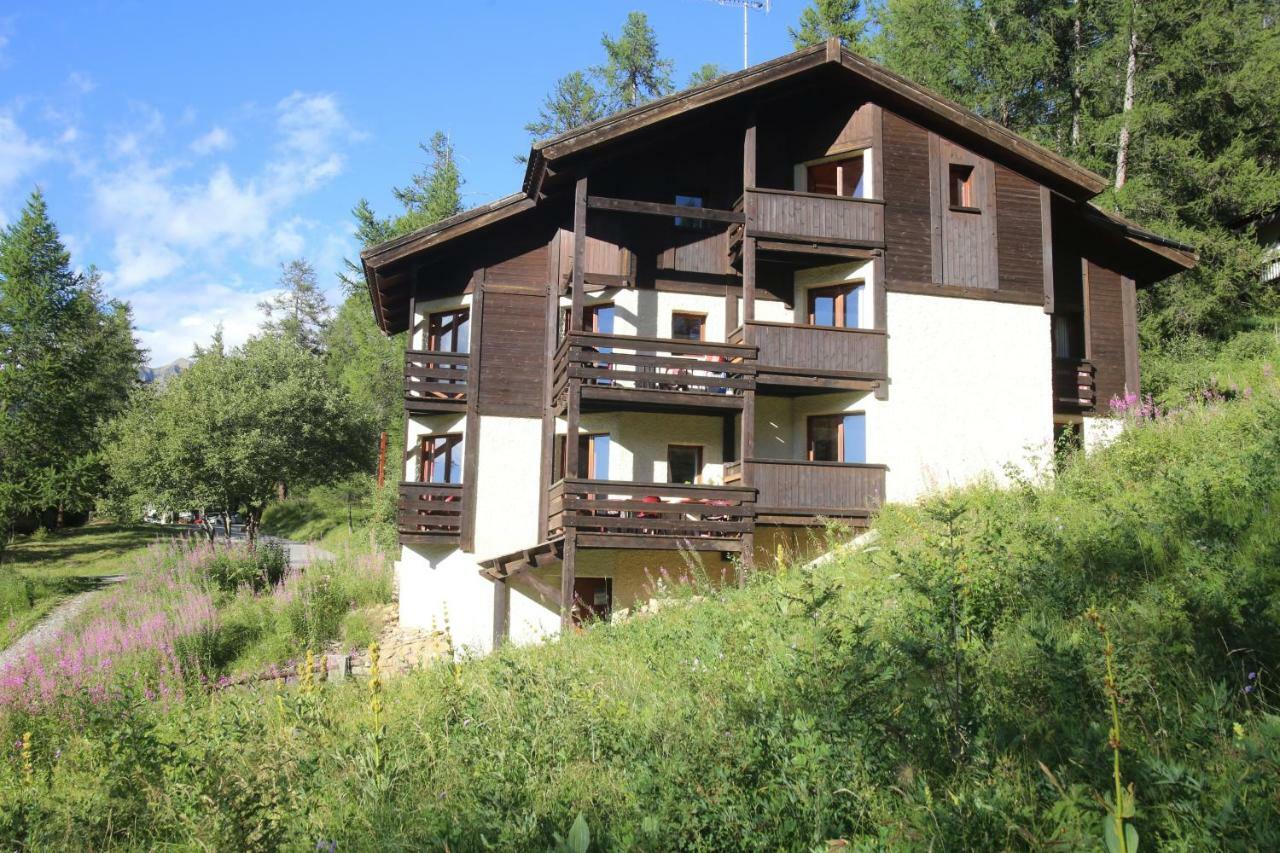 Chalet Les Arolles 莱索尔 外观 照片