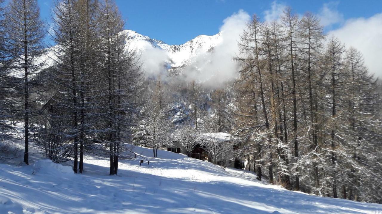 Chalet Les Arolles 莱索尔 外观 照片